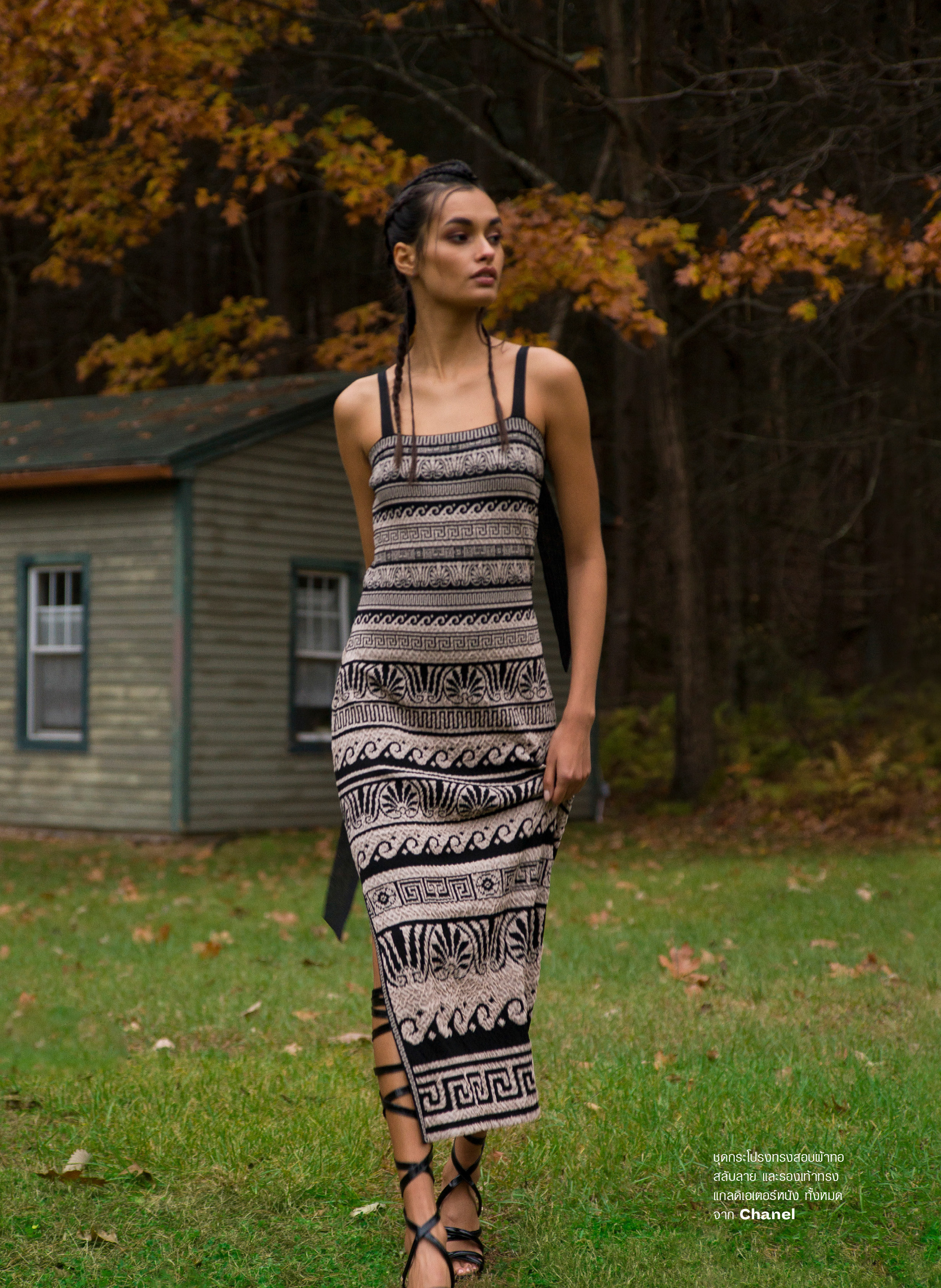 into the wood 9.jpg