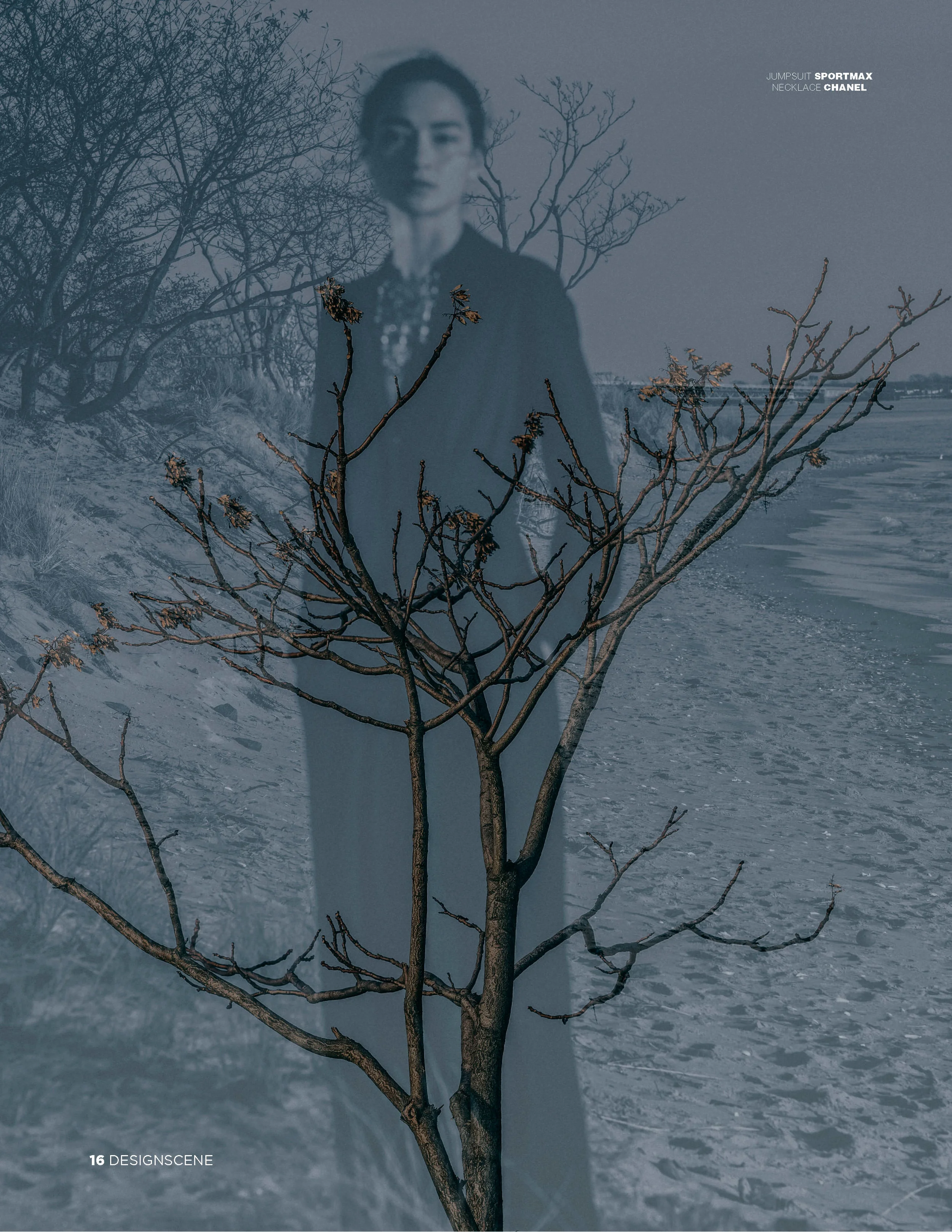 ds16.jpg