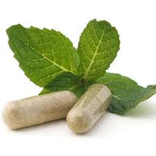 Probiotics can be found in capsule form at your local health food store or vitamin store. Store them in your fridge since they are live cultures!