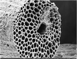 close up of the microscopic pores in activated charcoal. these pores absorb toxins, dirt, oils, etc.