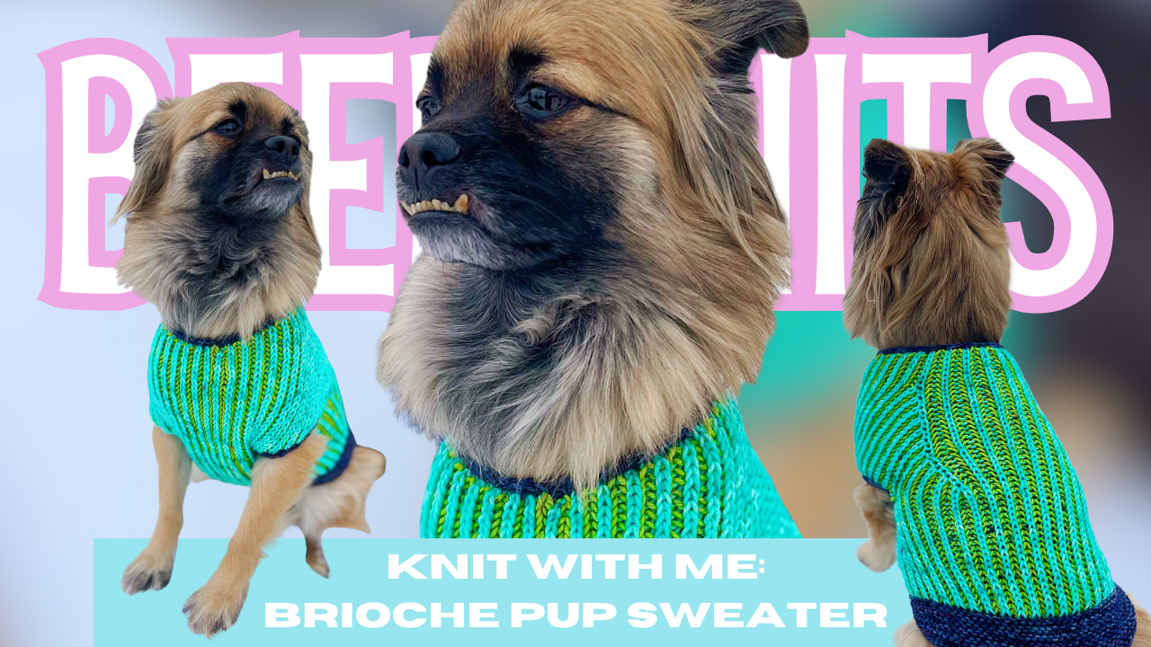 [BEER KNITS EXTRA] Knit with Me: Brioche Pup Sweater