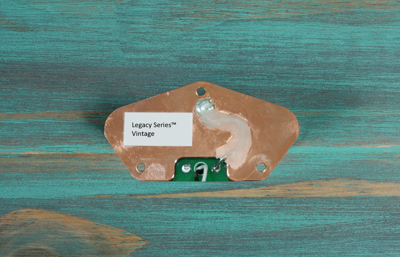 240710 Legacy Vintage Tele back on wood.png