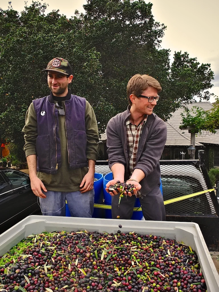 harvest2012 12.jpg