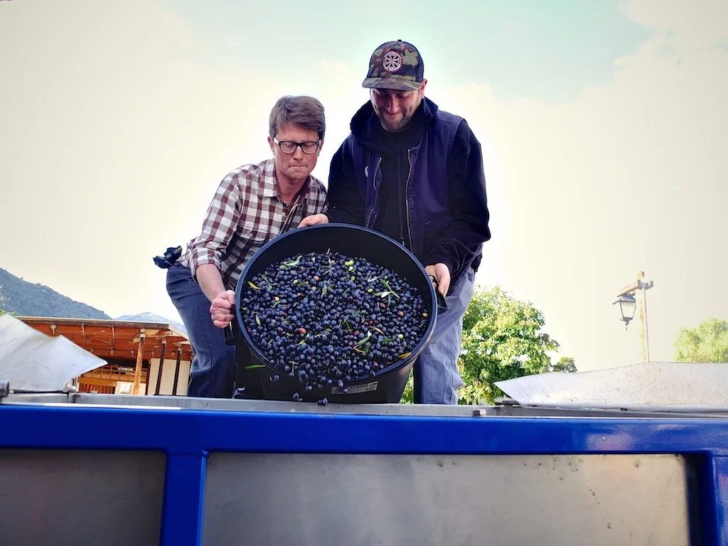 harvest2012 17.jpg