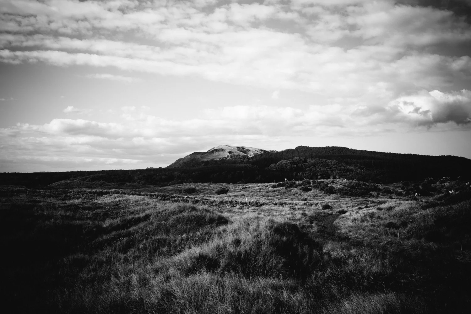 C&S (41 of 93).jpg