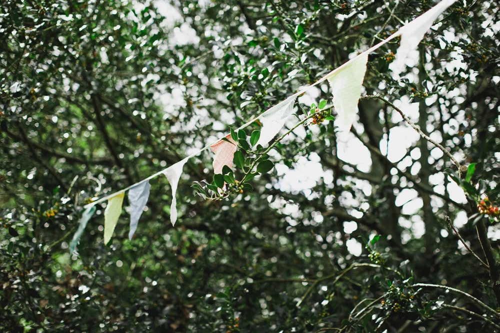 901-alberton-house--auckland-wedding--mount-albert--auckland-wedding-photographer.jpg