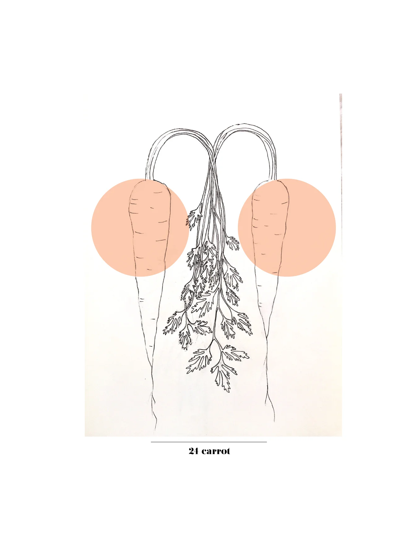flora prints-03.jpg