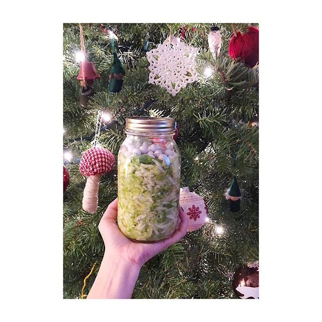 Christmas Kraut ✨ 12.25.18

See ya next month darling jar of cabbage + dill + garlic + pink Himalayan salt

#fermentation #sauerkraut #imaginaryhomesteader