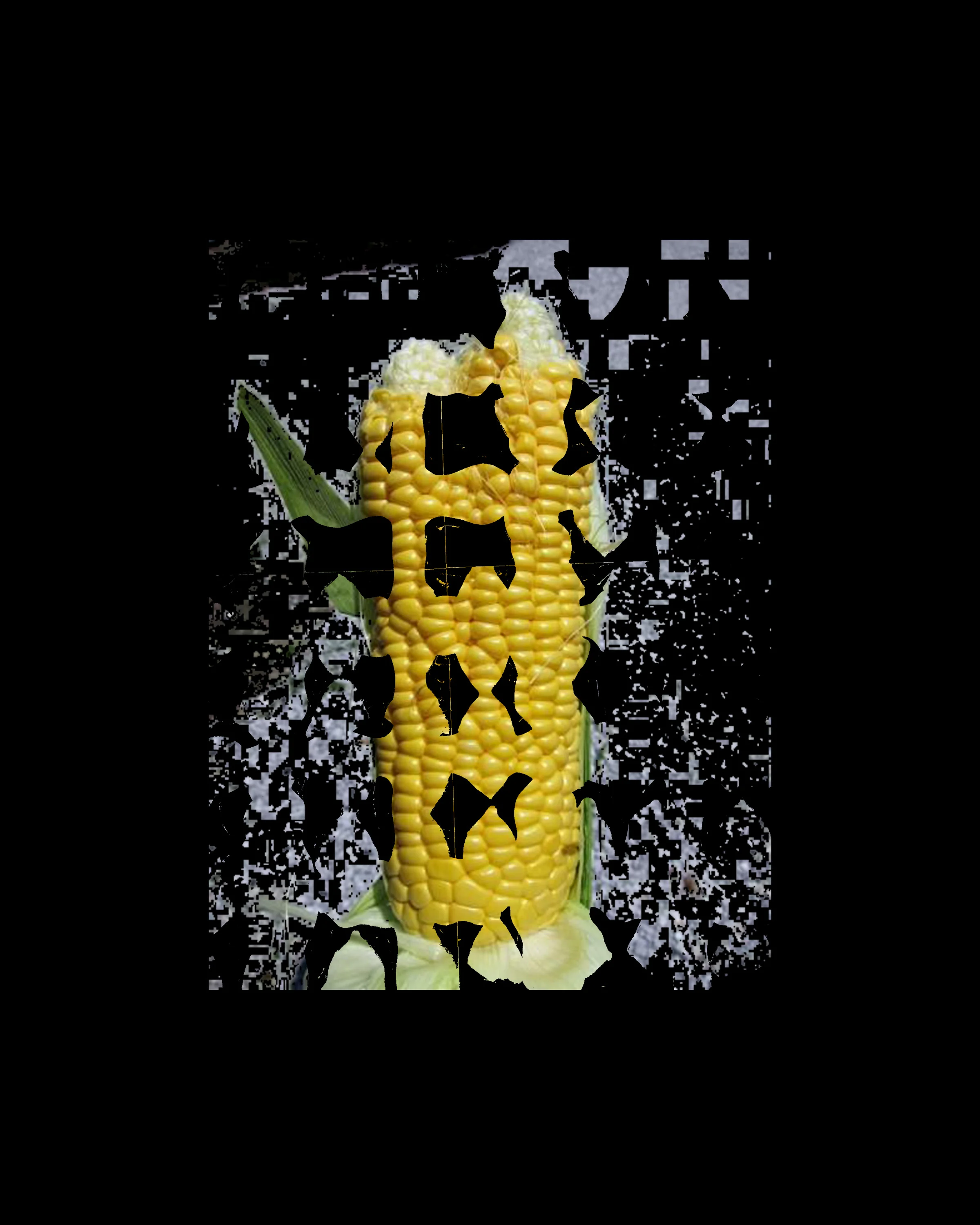 corn-.jpg