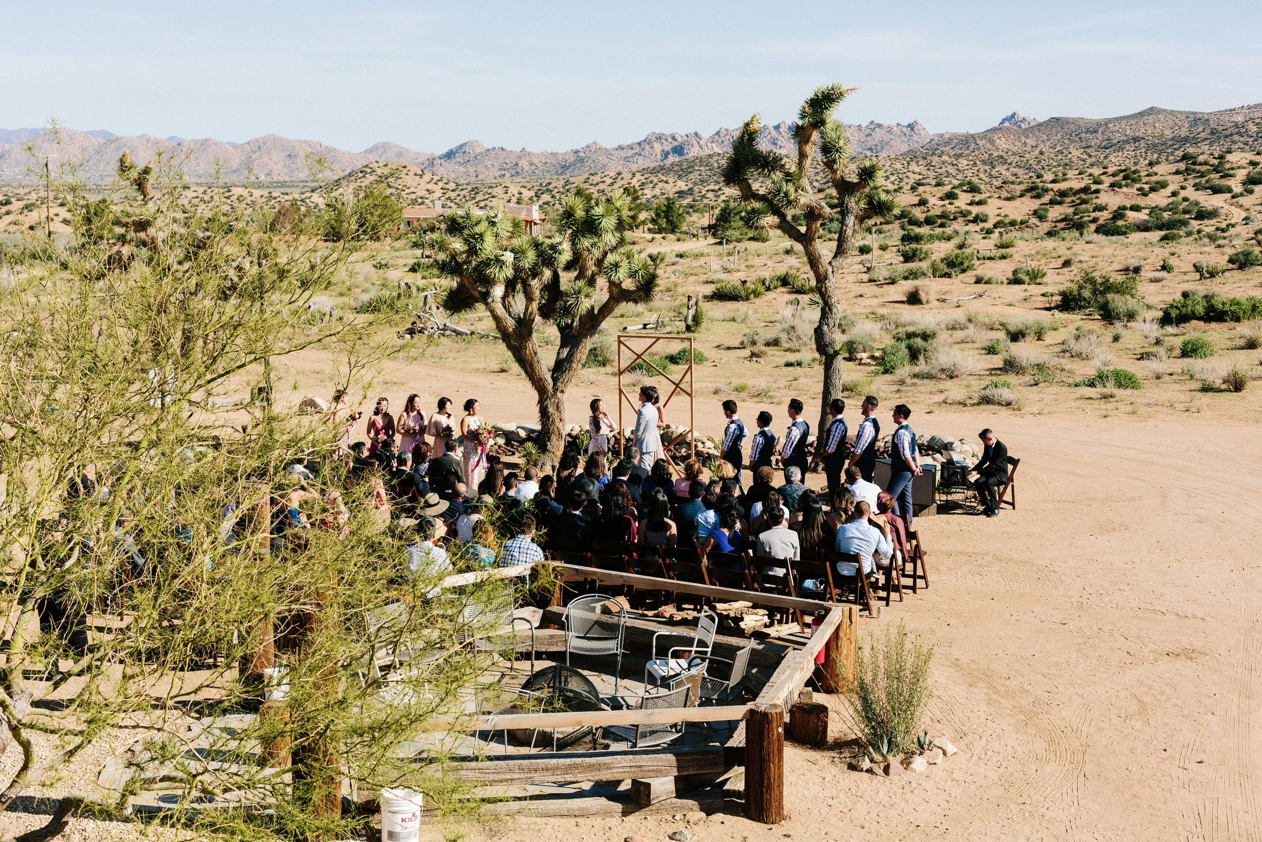 amystevewed2798.jpg