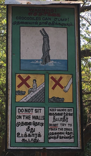 A photo of an actual sign taken by a non-imaginary friend in India. Presumably, she has been eaten by now. I'll miss her.