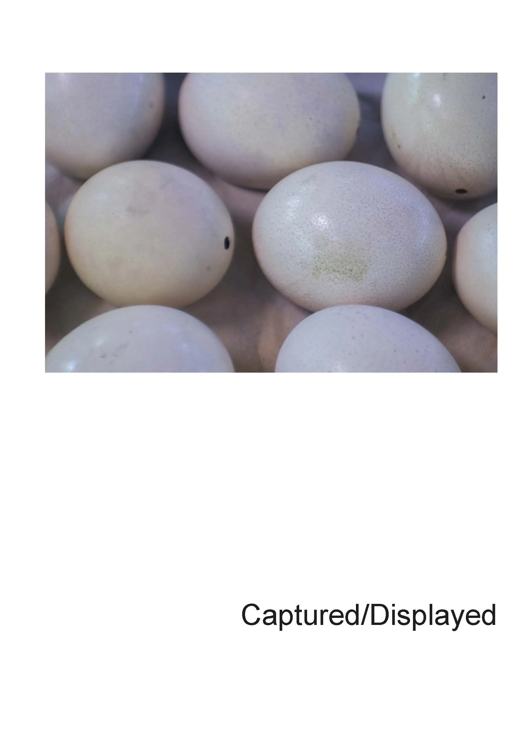 Pages from captureddisplayed.jpg