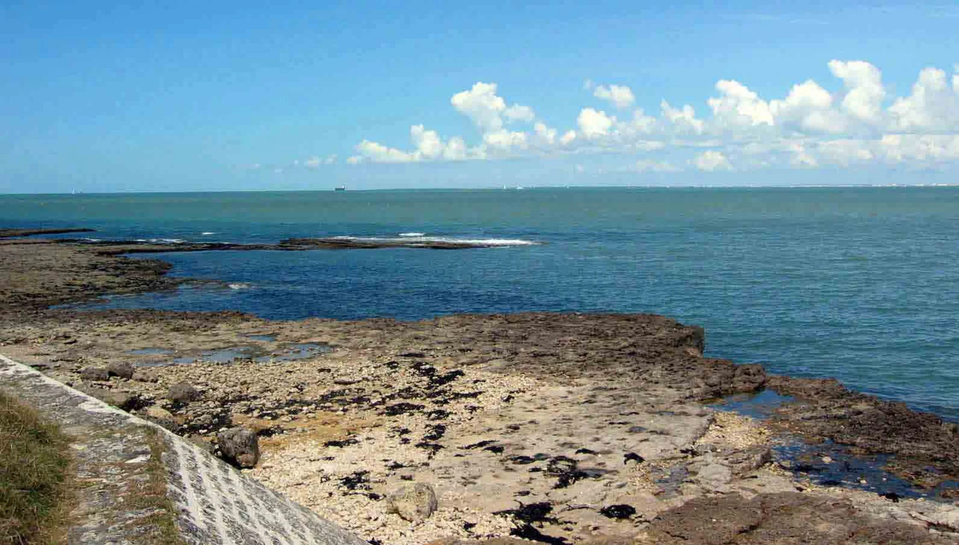 LaRochelle9.jpg