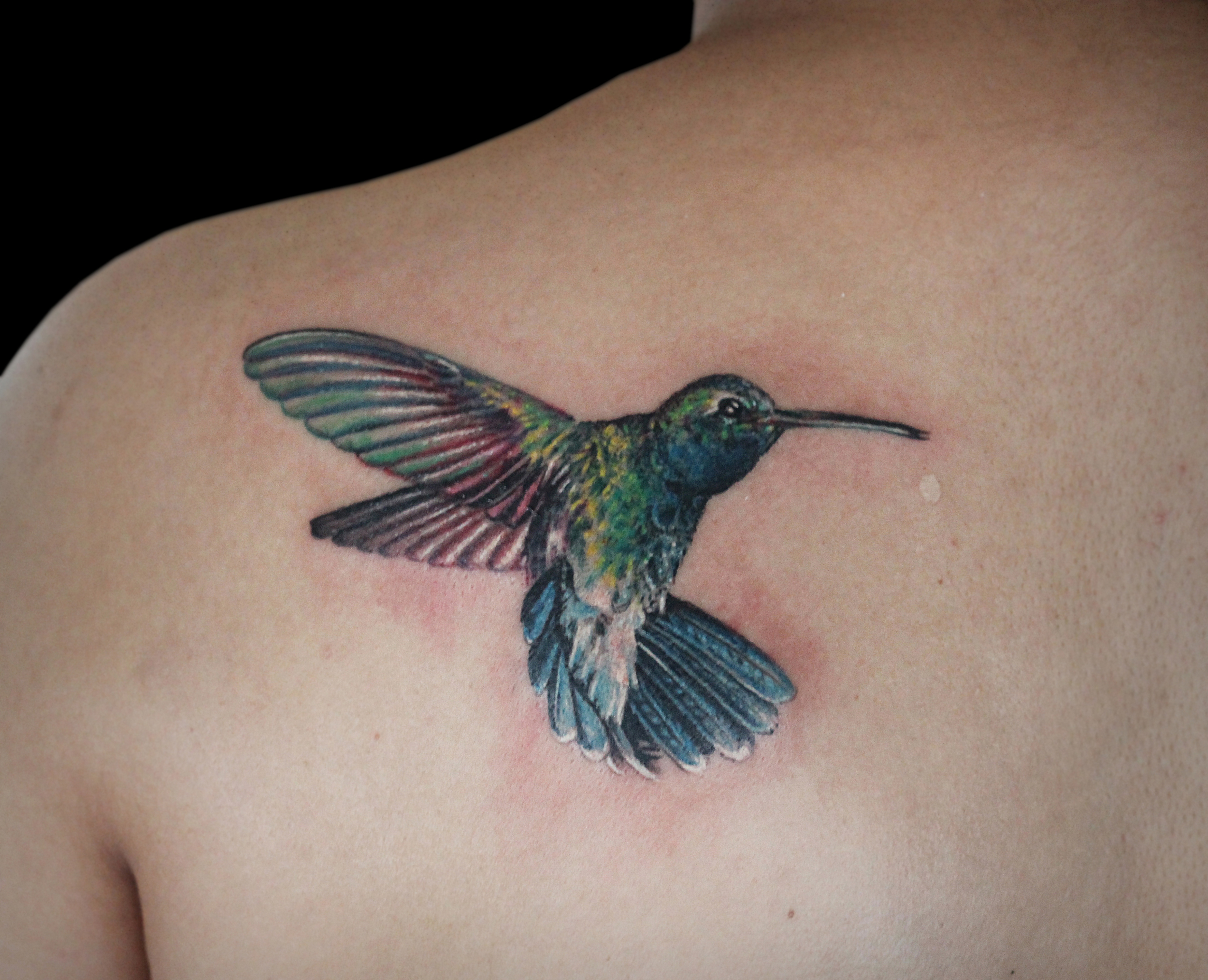 Colourful Hummingbird Tattoo.