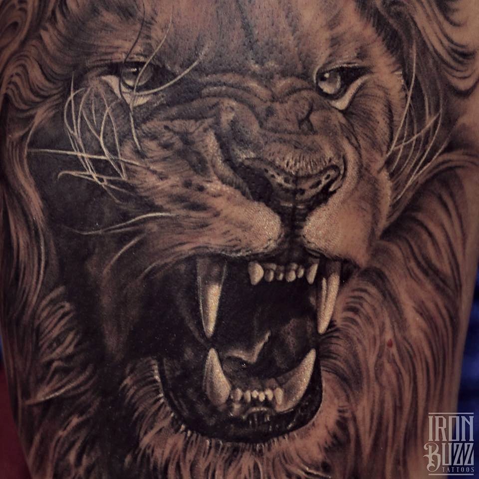 Lion PhotoRealistic Animal Tattoo in Black  Grey by DB Wyte  Iron Palm  Tattoos  Body Piercing