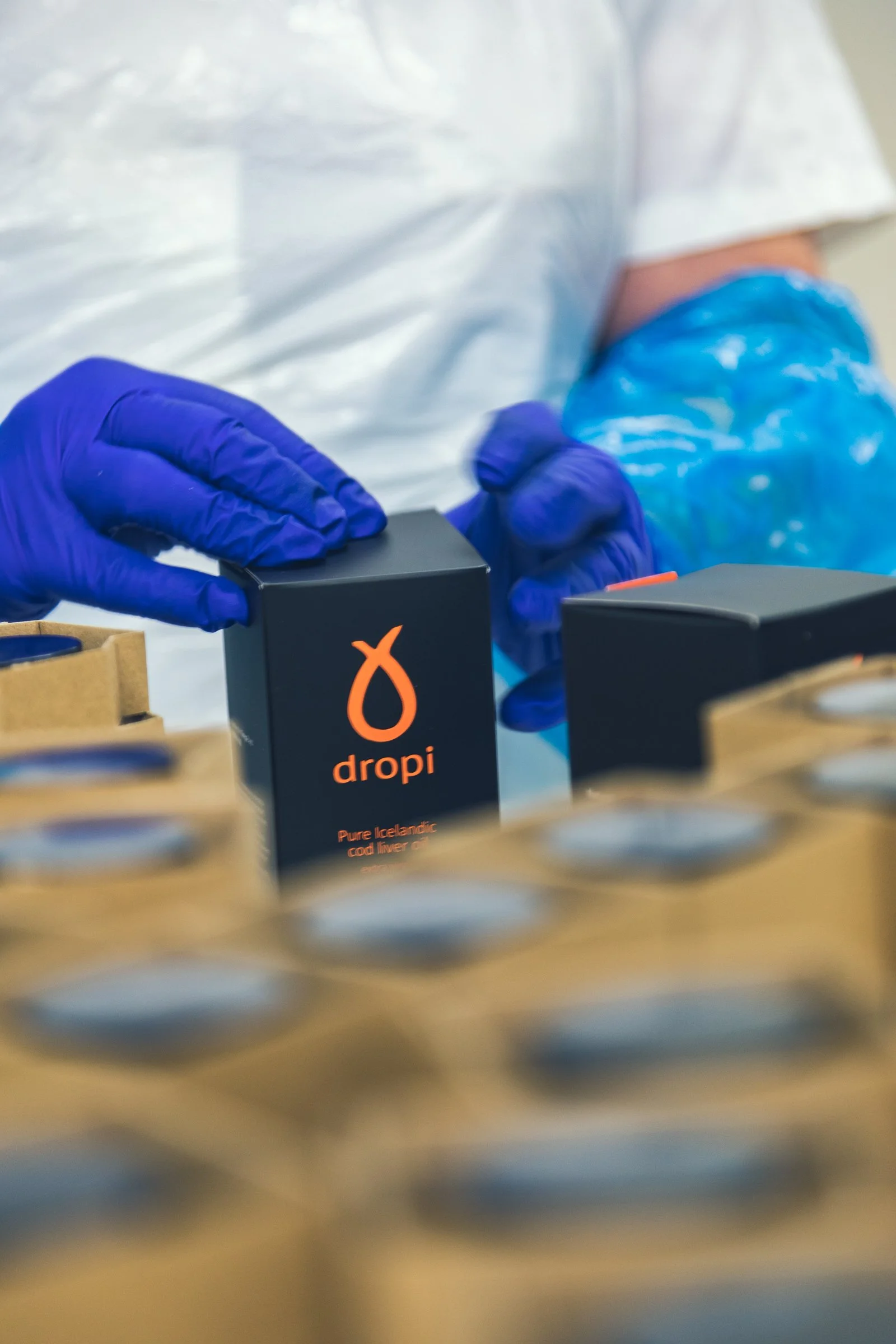 dropi_rutsig-9.JPG