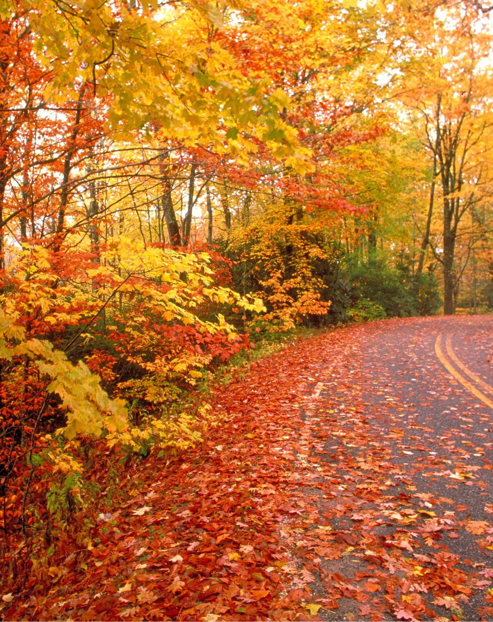 New-England-Fall.jpg