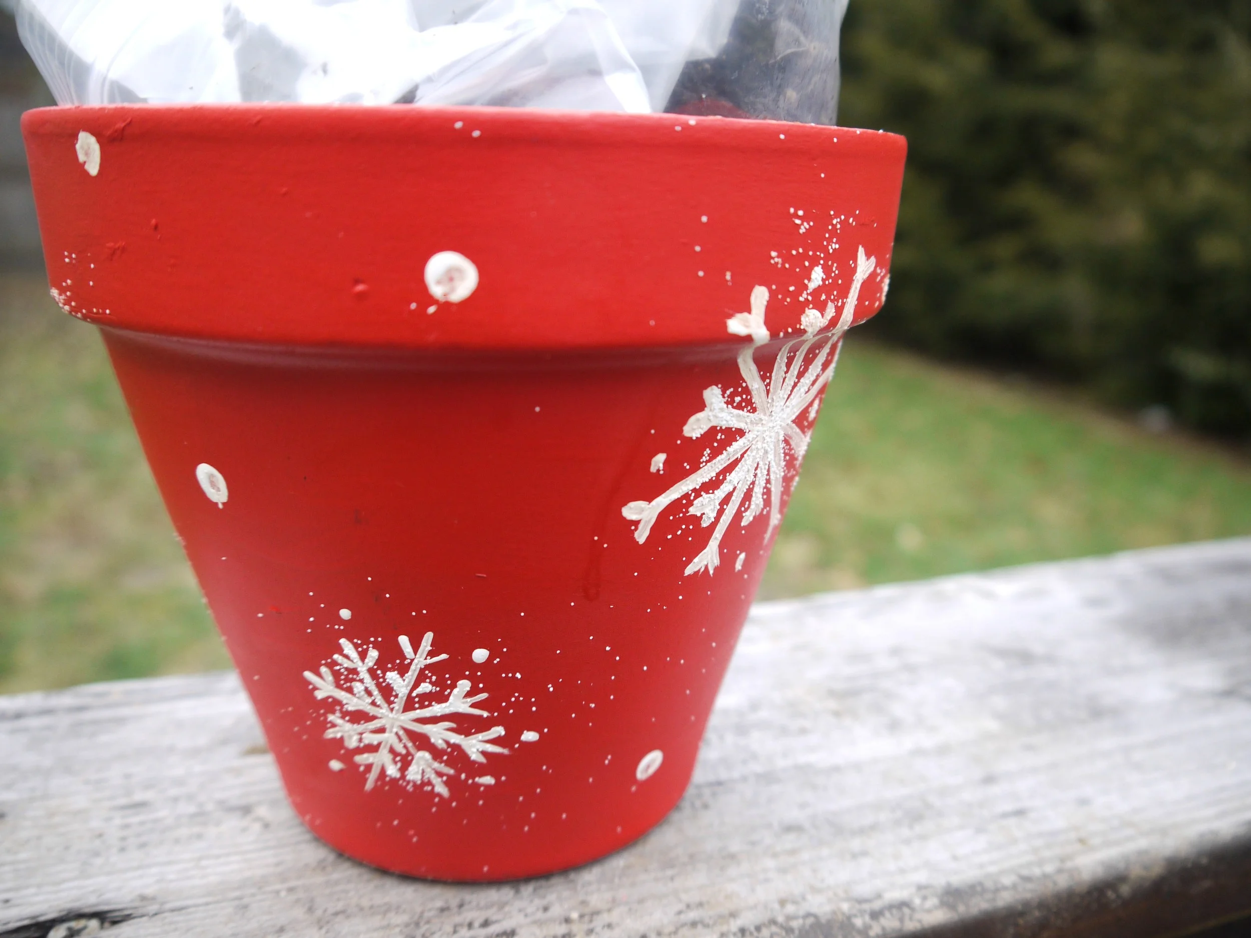 flower pots 13.jpg