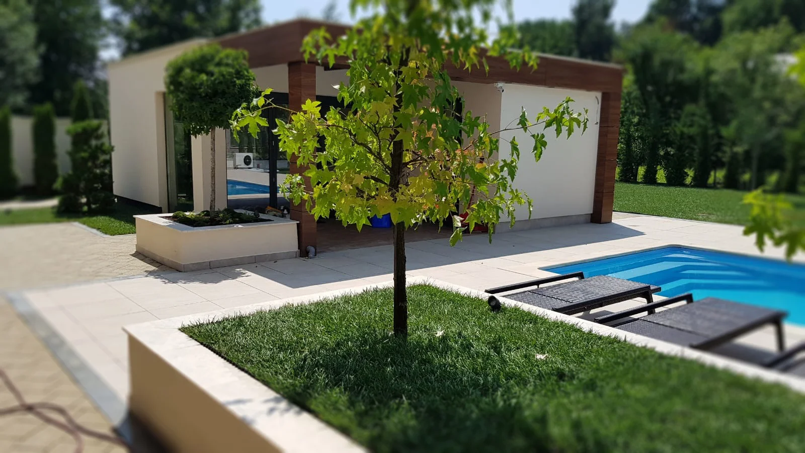 WhatsApp Image 2019-07-27 at 14.10.51 (1).jpeg