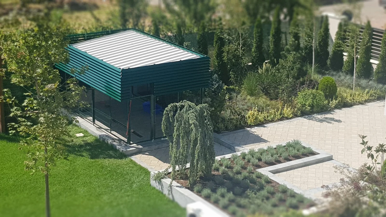 WhatsApp Image 2019-08-31 at 14.43.59.jpeg