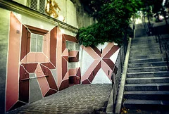 REX, VMD, 2011