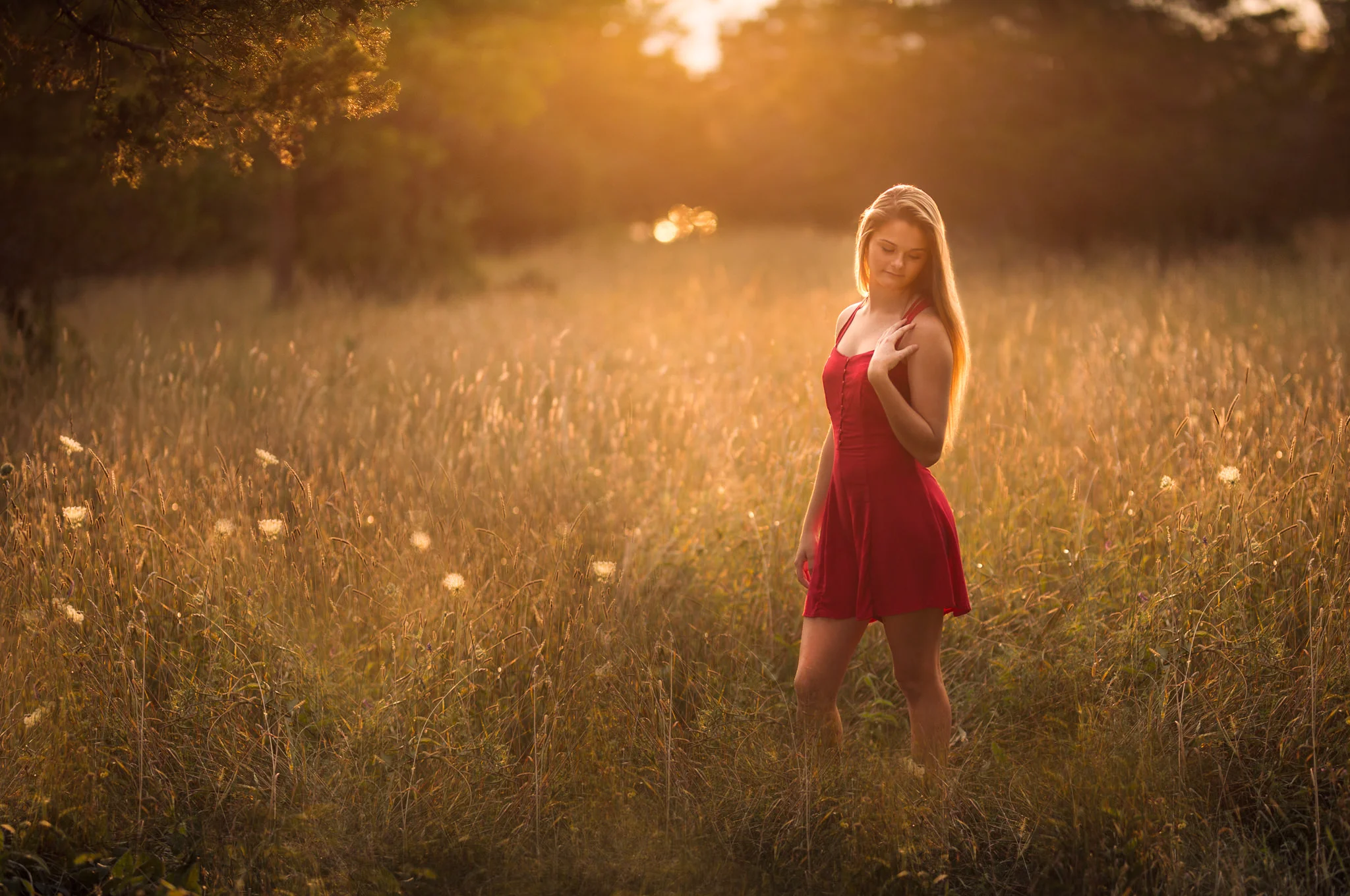 Girl in field senior portrait Walter Sheehey Photography Watertown, NY