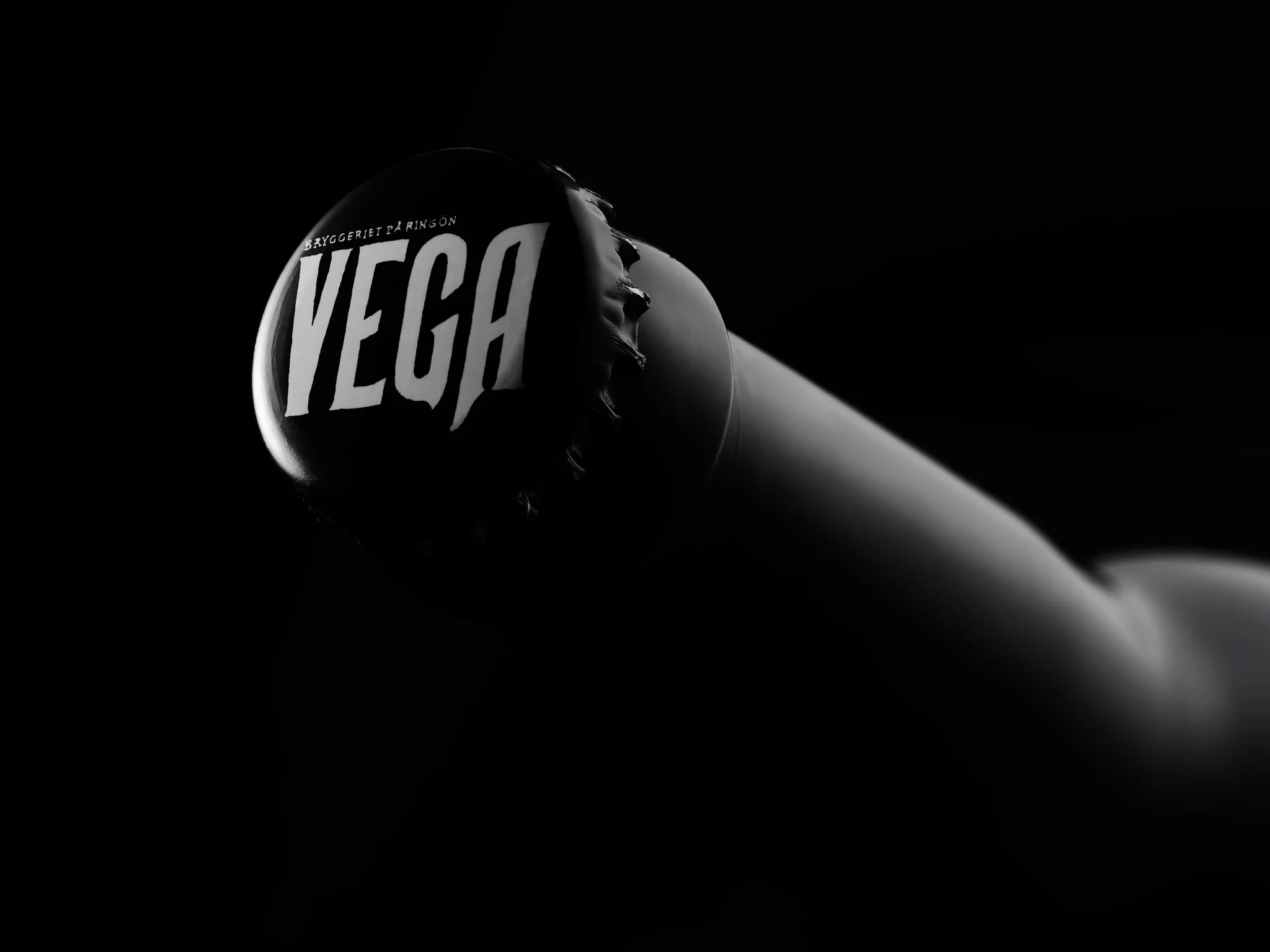 vegafoto vega bryggeri.jpg