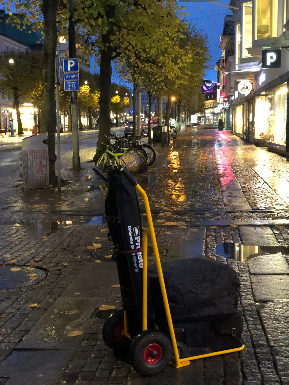 vegafoto-bts2.jpg
