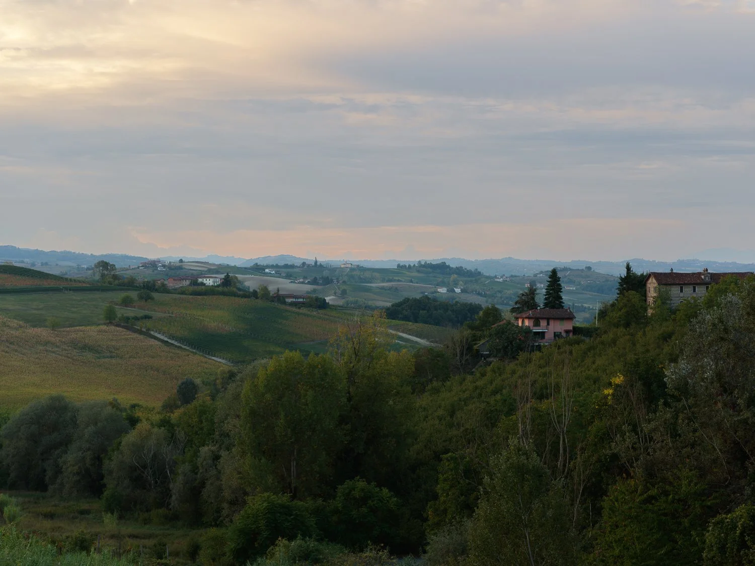 Vegafoto-Monforte d'Alba-1.jpg