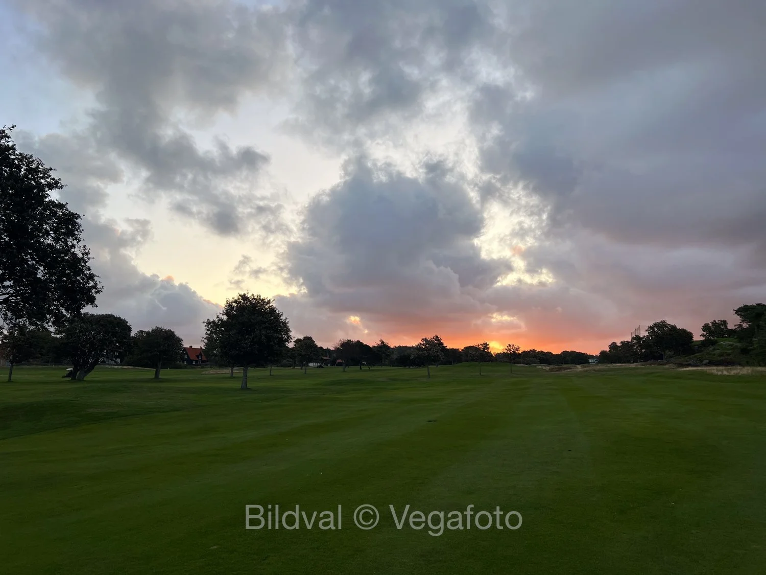 IMG_4753.jpg