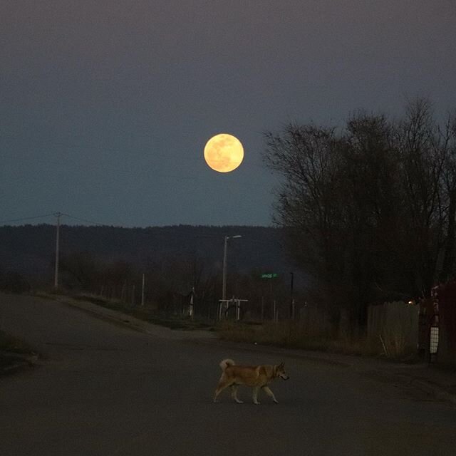 The full moon of April 7th.
#ApacheStreet
#rezdog
#fullmoon
#canon