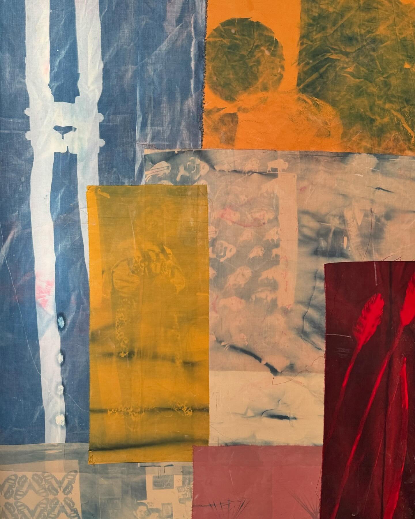 Untitled
36 x48
Cyanotype 
2024