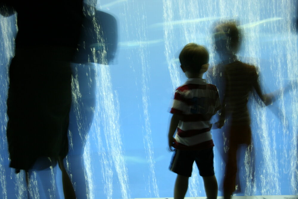 Boy in Aquarium