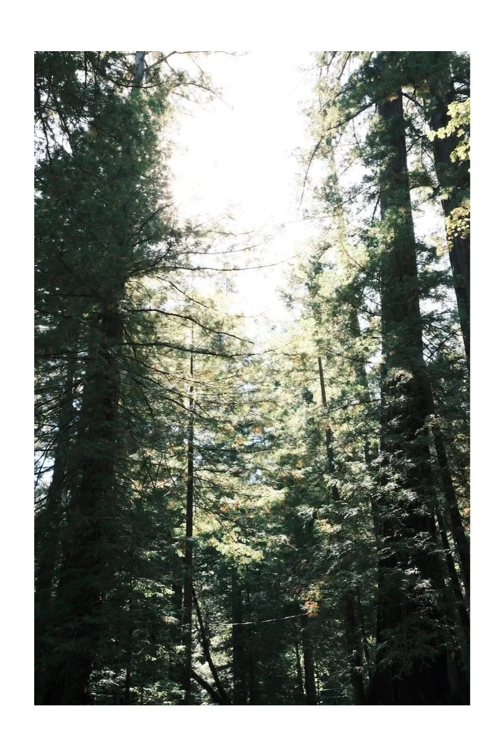 Garberville, CA.