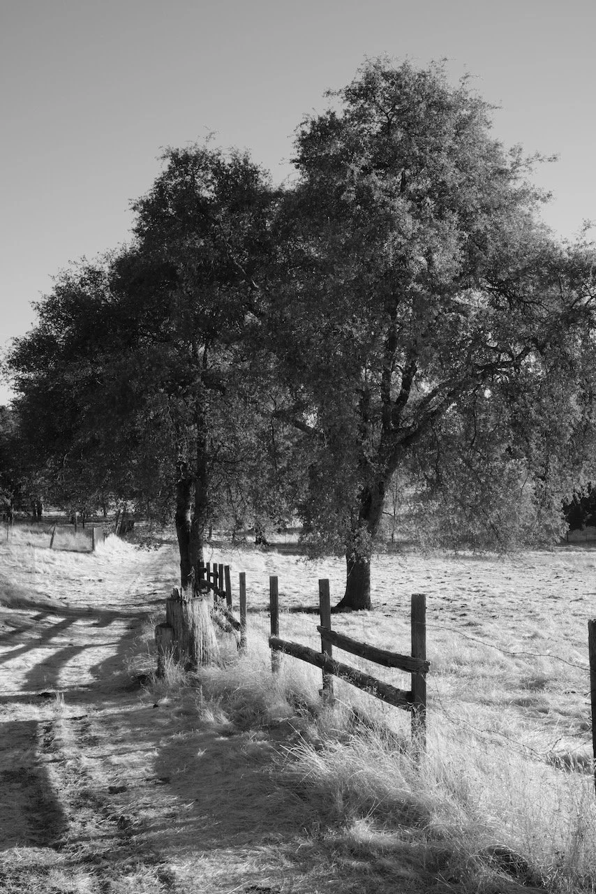 Groveland, CA.