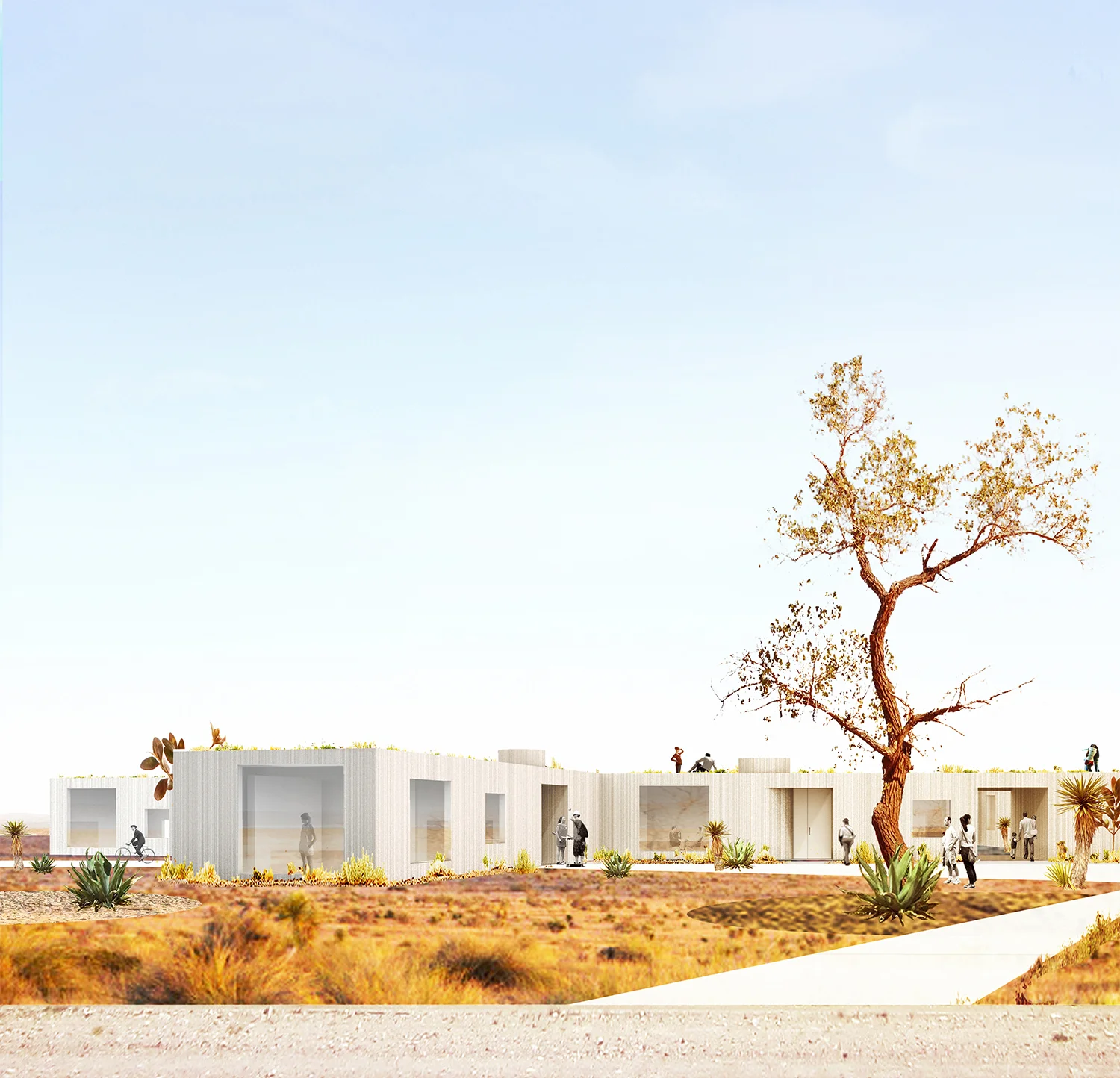1 Marfa Housing Studio Cadena.jpg
