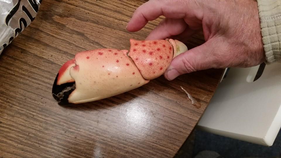 2014 snow Crab supper