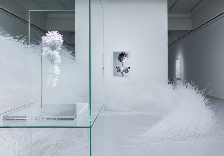 0-Crystallize-Tokujin-Yoshioka-Museum-of-Contemporary-Art-Tokyo-yatzer.jpg