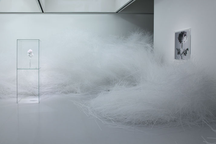 13-Crystallize-Tokujin-Yoshioka-Museum-of-Contemporary-Art-Tokyo-yatzer.jpg