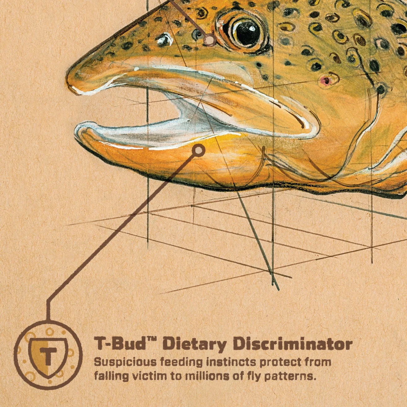CDM-18073-Trout-RESOURCE-V6-DETAILS.jpg