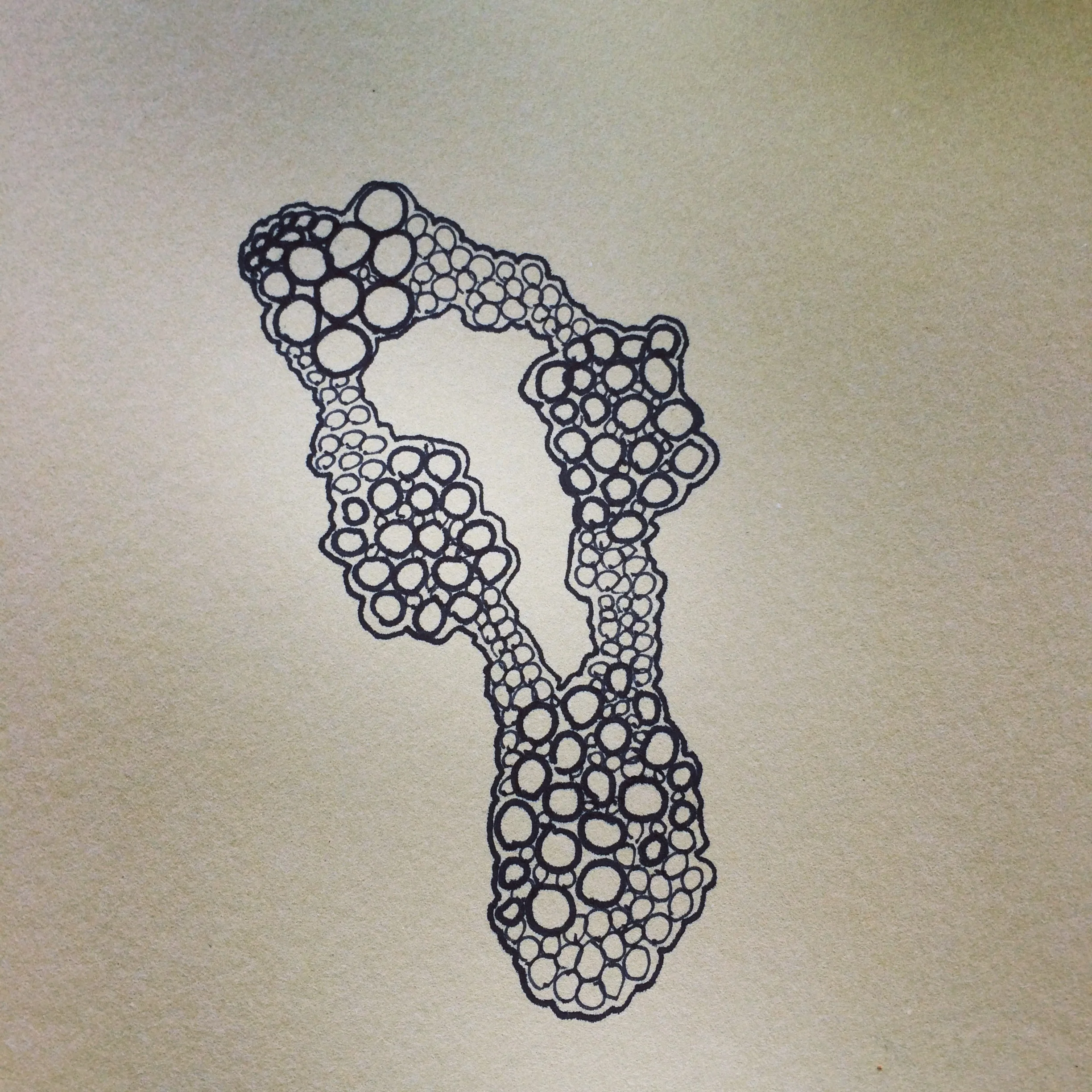 untitled (galaxies/cells)
