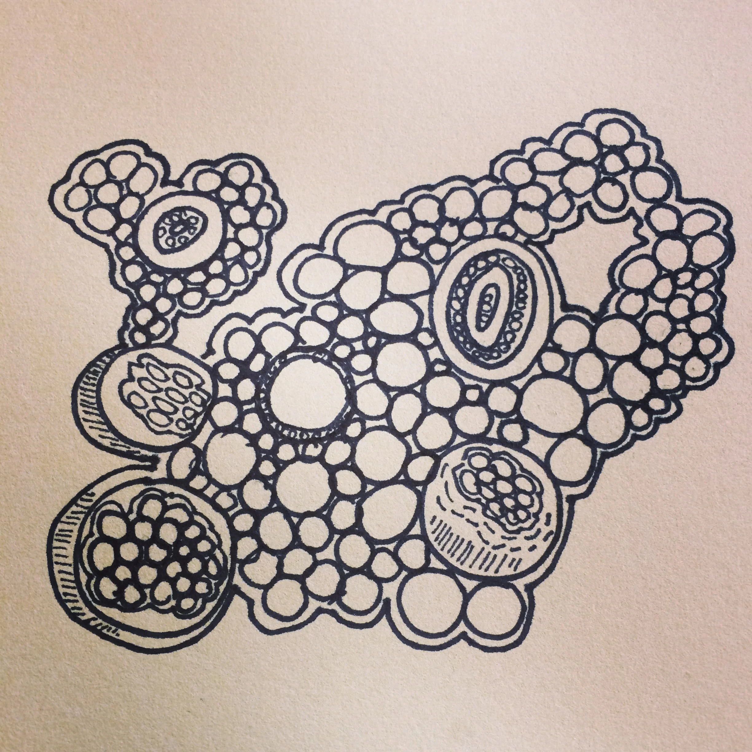 Untitled (multiplying/growth)