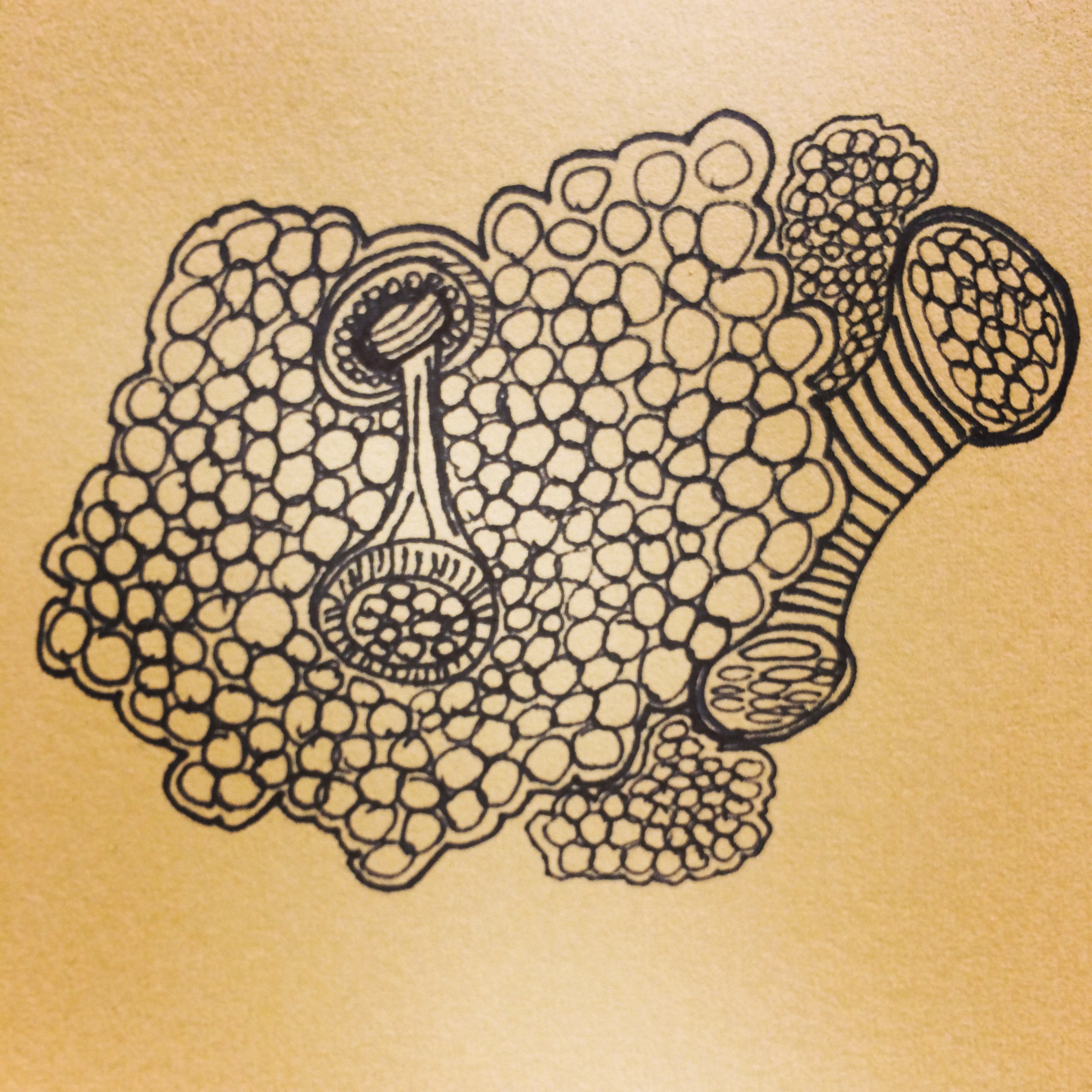Lunch Drawing #4 (sad)