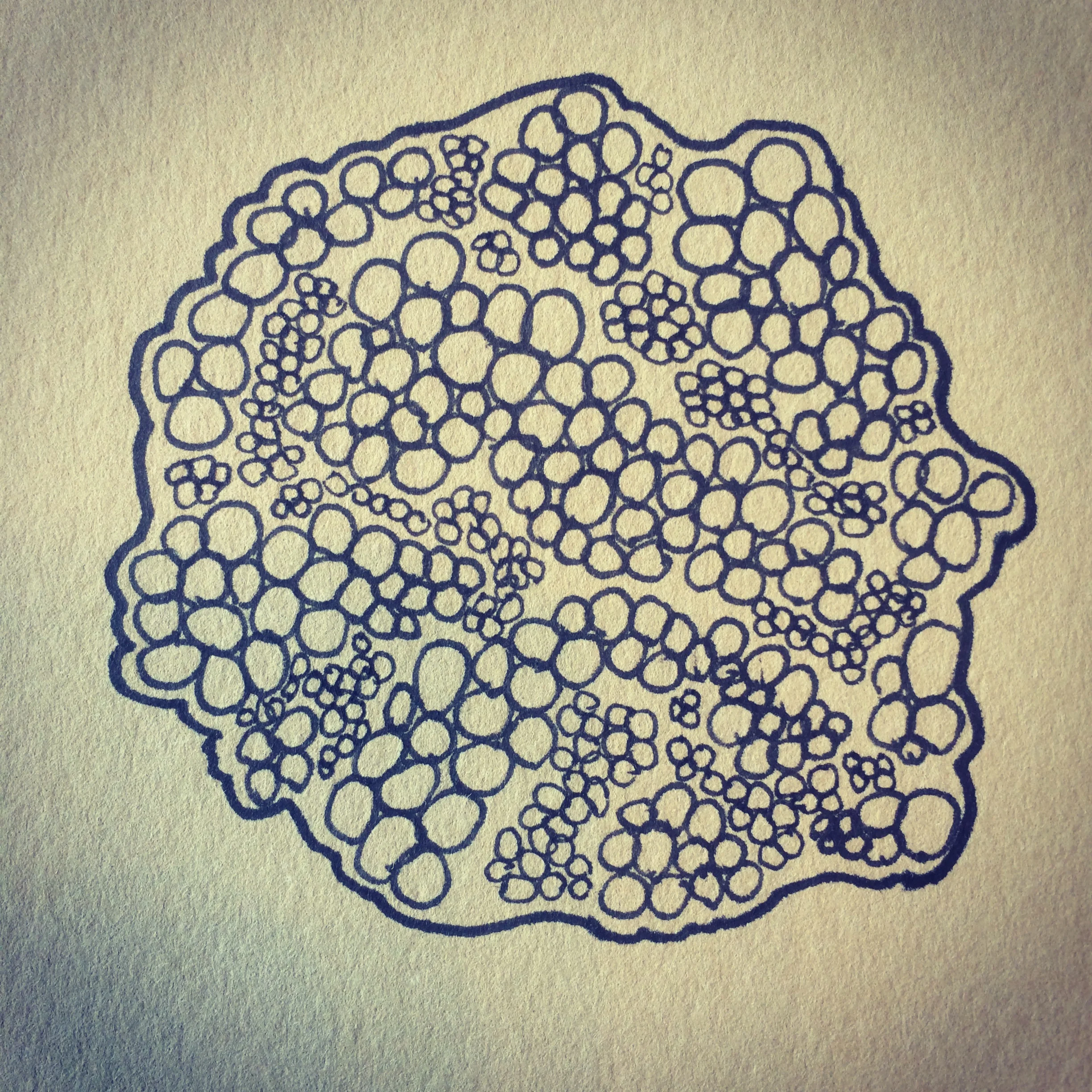 Haircolor Drawing #1 (cancer)