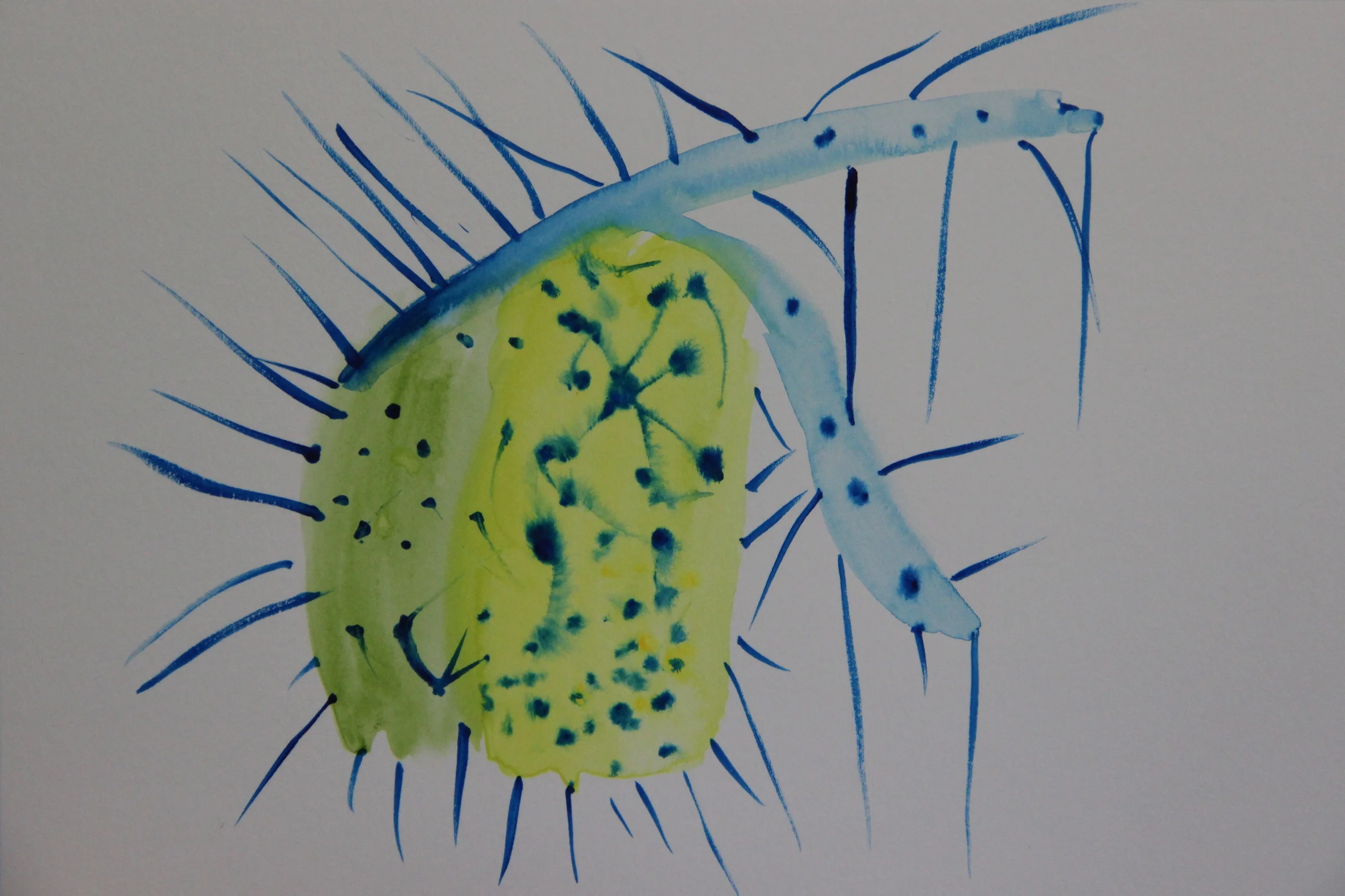 Lunch Drawing (untitled)