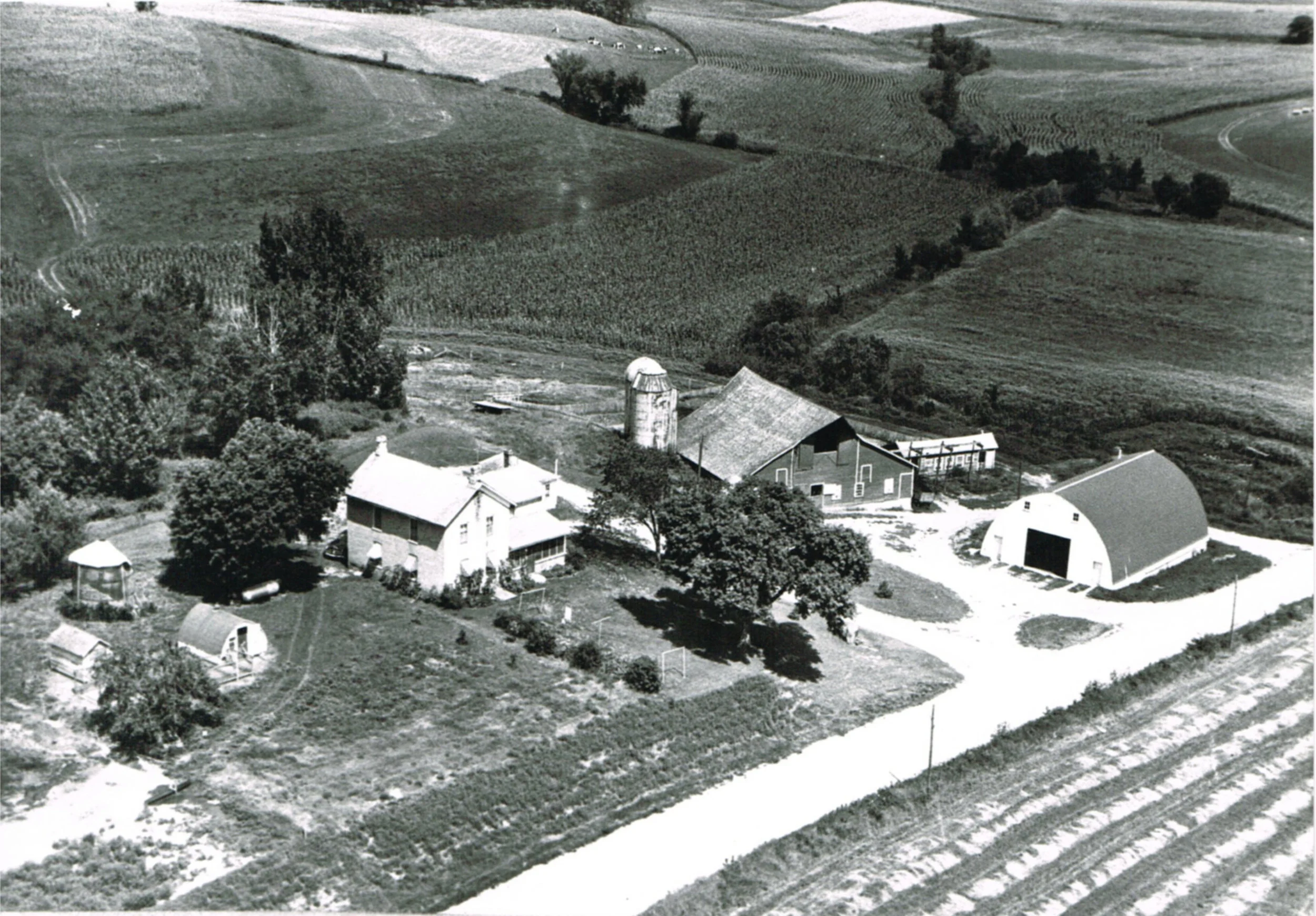 Farm Pic.jpg