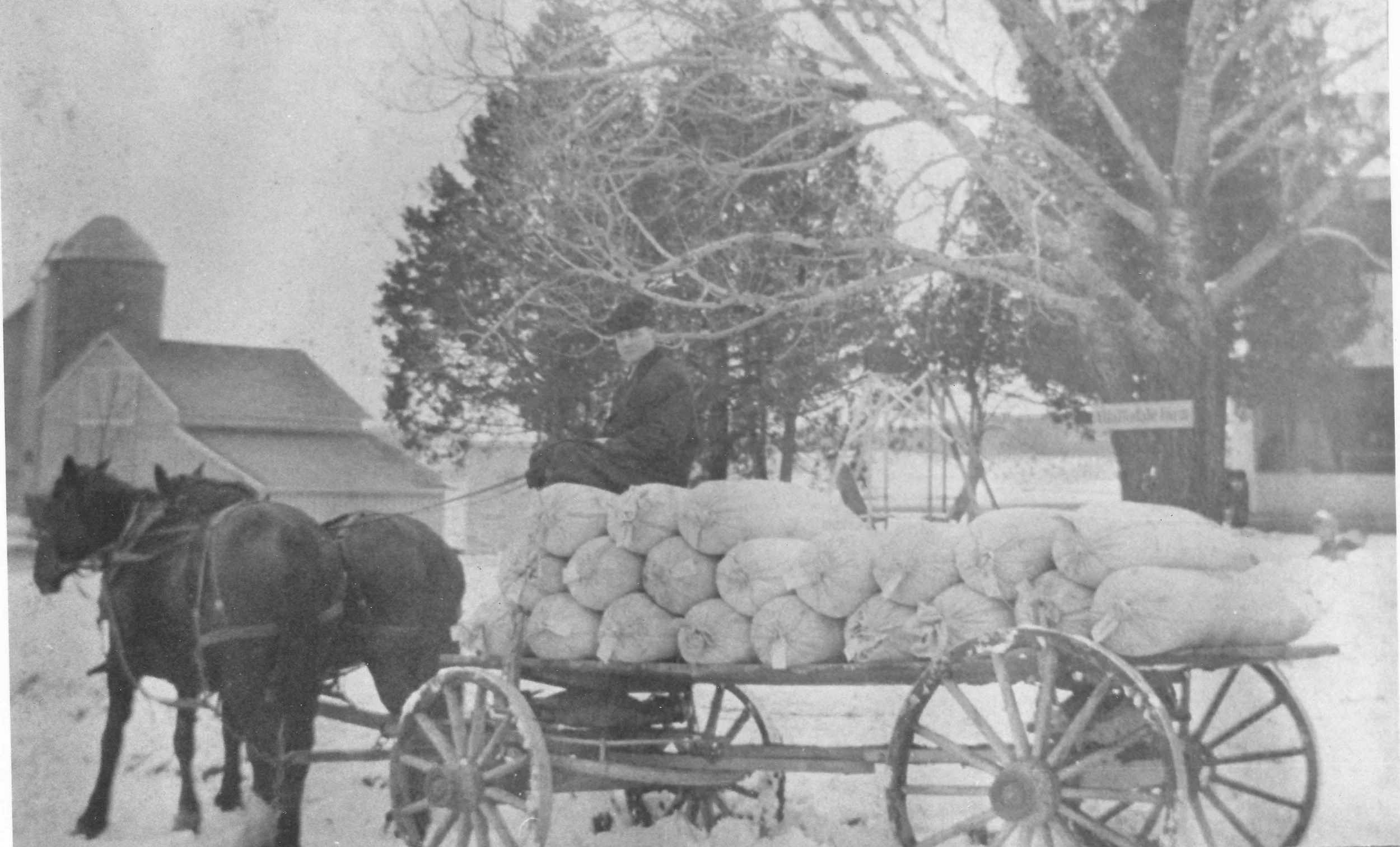 Horse and Grains.jpg
