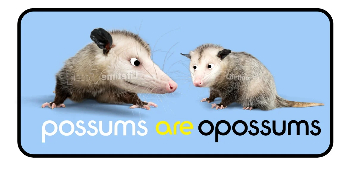 1a82d333d8798bcae4d3c9f4ef69a7b9-png.jpg