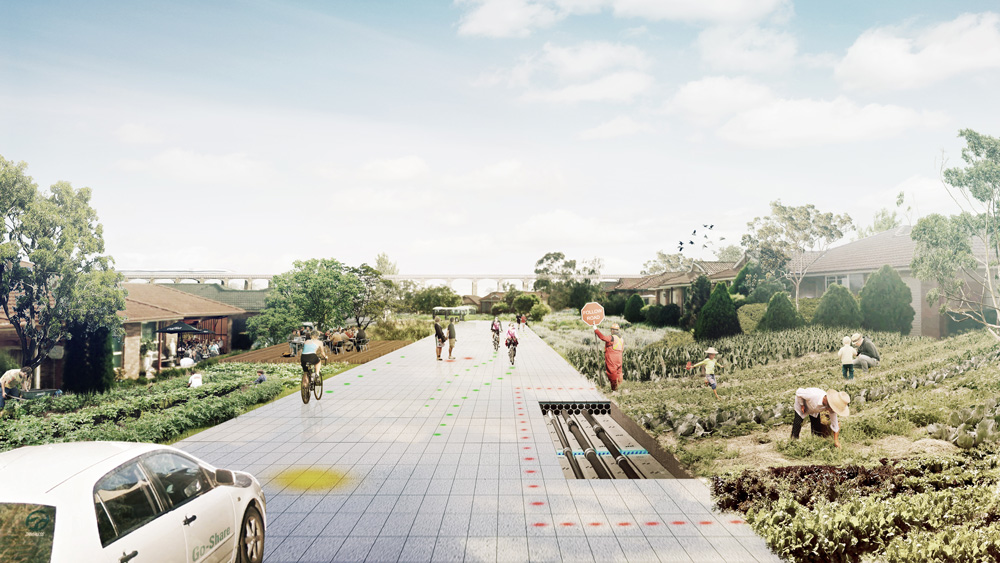 Penrith, Sydney 2040 The Living Road's AI network directs traffic autonomously creating a safe, shared trafficable space. Driveways have become a rare feature along a suburban streetscape due to the well serviced electric bus and shared driverless car network. Micro farming has become a popular suburban pastime, a form conspicuous consumption of personal time and effort.