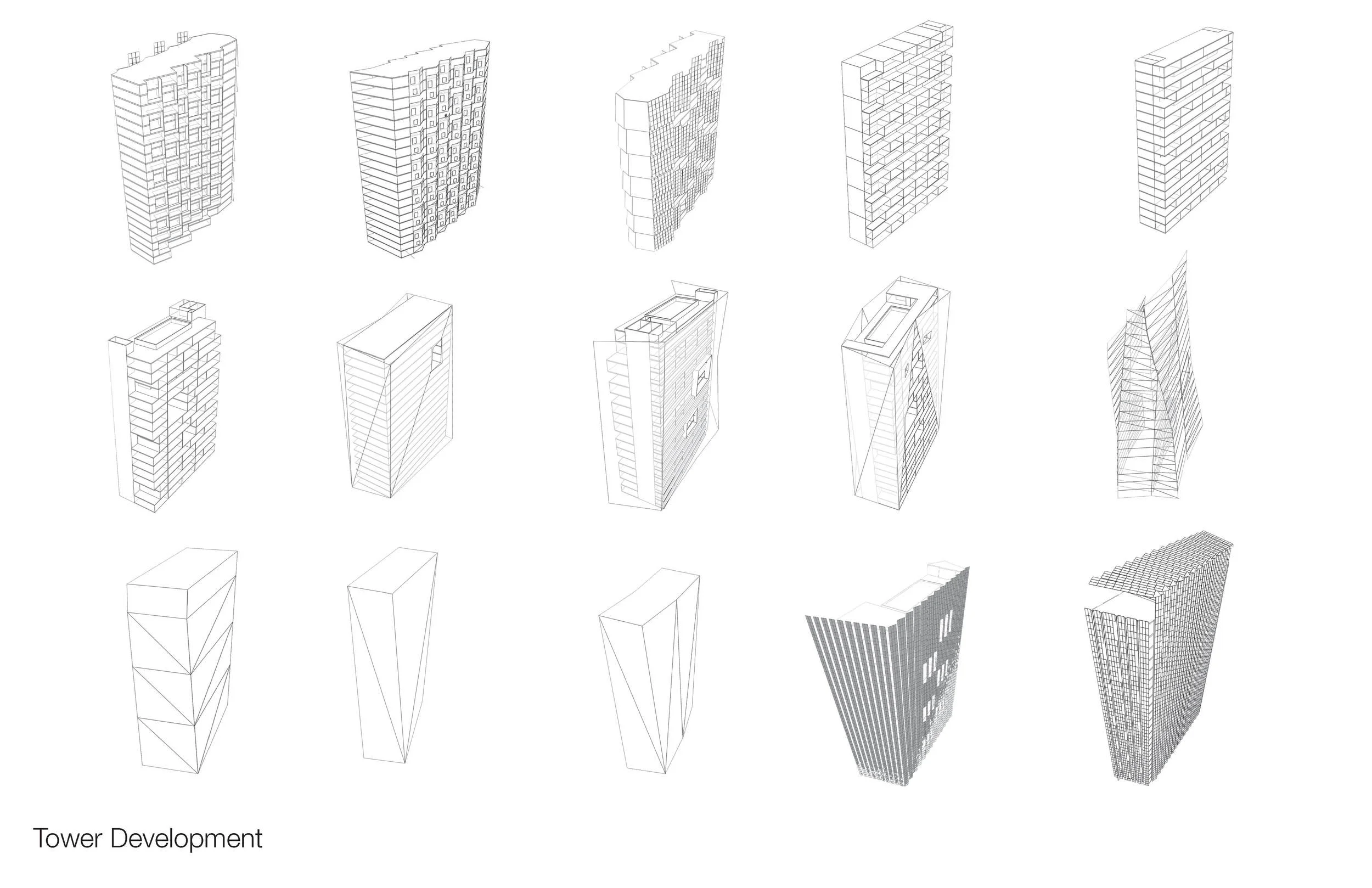 Morphology